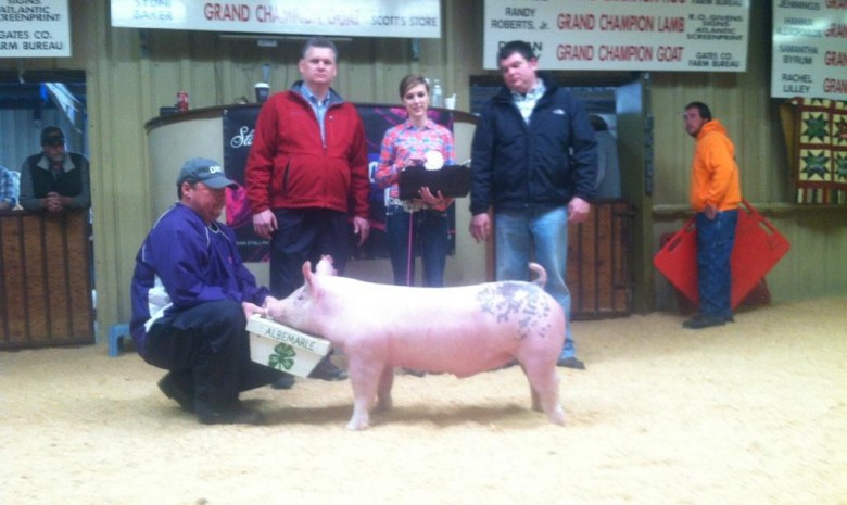 Caitie Goss with the Reserve Champion Middle Weight Pig at the 2013 East Coast Extravaganza