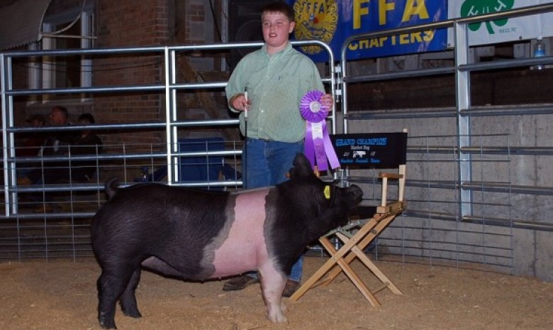 Zach McCall with the Grand Champion at the 2013 Augusta Co., VA Market Animal Show