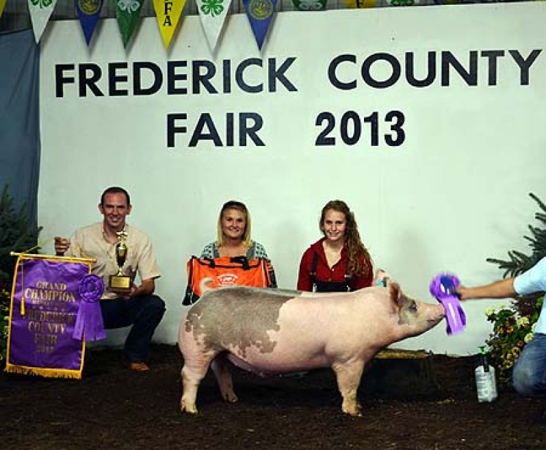 Grand_Champion_Market_Hog_2013_Frederick_County_Fair_Shown_Ashten_Sfarnas.jpeg