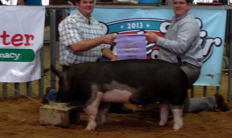 Reserve Champion Barrow and Reserve Champion Overall Market Hog at the 2013 North Carolina State Fair Open Show