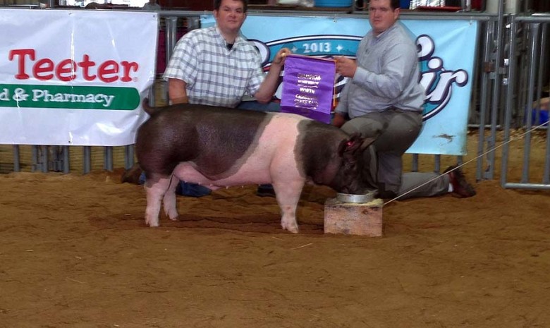 Grand Champion Barrow and Grand Champion Overall Market Hog at the 2013 North Carolina State Fair Open Show