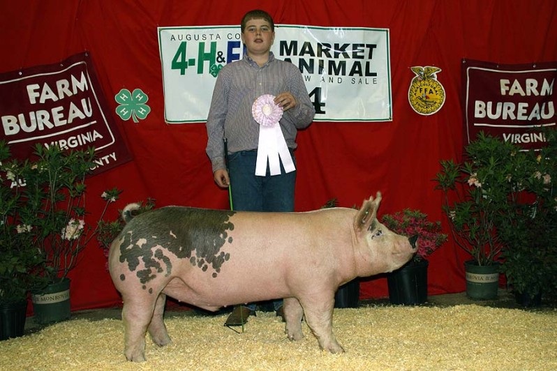 The Reserve Champion (Division 4) at the 2014 Augusta Market Animal Show shown by Zach McCall