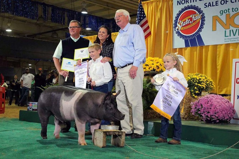 Champion Show Pigs