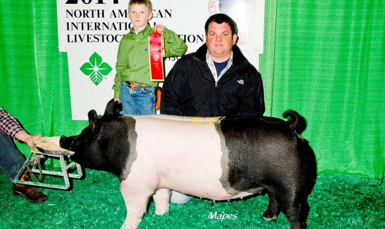 The McMillan Family with the 2nd In Class at the 2014 Louisville, KY North American International Livestock Exposition