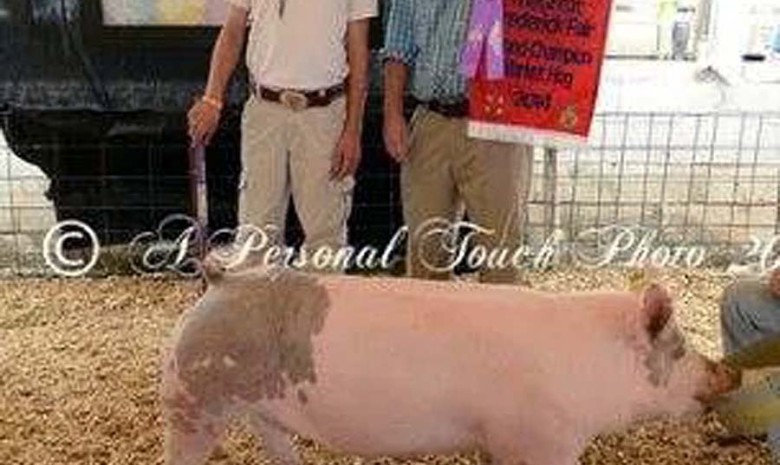 The Miller Family with the Grand Champion Overall at the 2014 Frederick County, Maryland 4-H Livestock Show