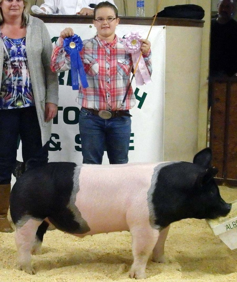 Madison Wooten with the Reserve Champion at the 2015 Albemarle 4-H Livestock Show