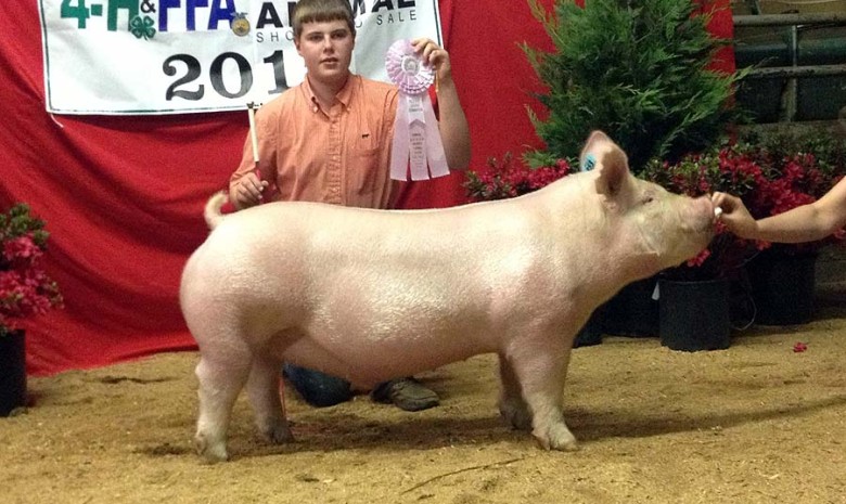 Zach McCall with the Reserve Champion at the 2015 Staunton, VA Market Animal Show