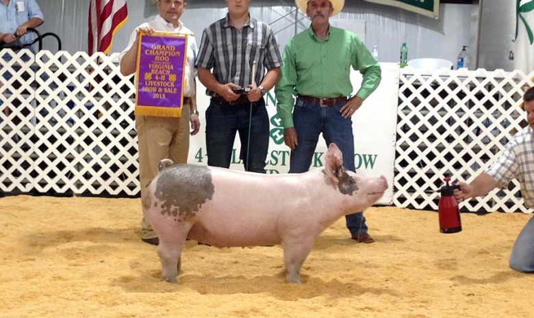 Conner Dickman with the Grand Champion at the 2015 Virginia Beach, VA 4-H Livestock Show