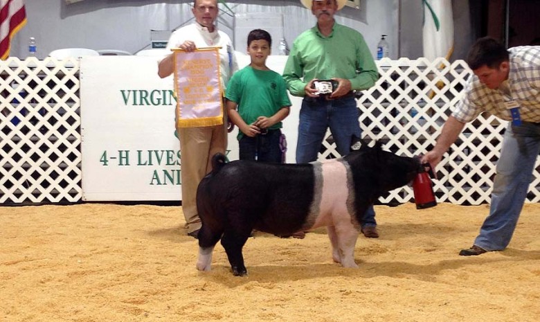 Logan Rollins with the Reserve Champion at the 2015 Virginia Beach, VA 4-H Livestock Show