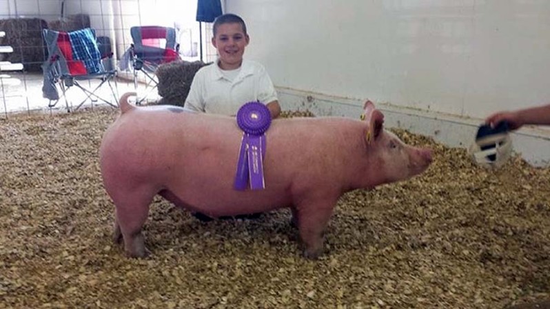 The Nestor Family with the Grand Champion Overall at the 2015 Barbour County, WVA 4-H Livestock Show