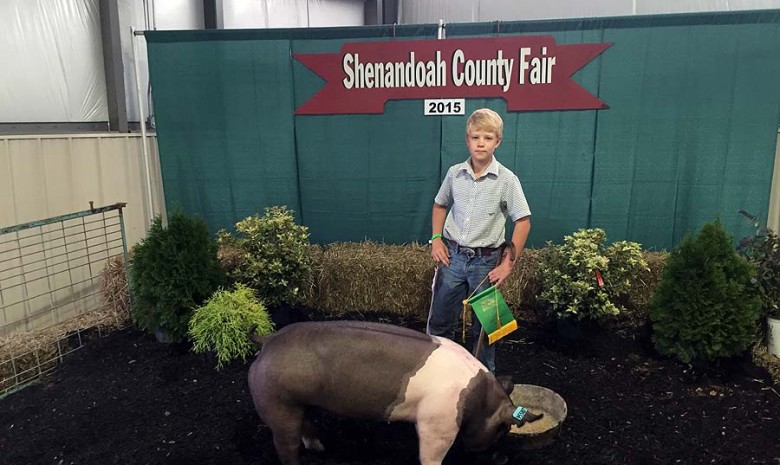 Tyler Bushong with the Reserve Champion Light Weight at the 2015 Shenandoah, VA 4-H Livestock Show