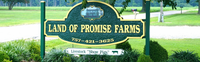 Land of Promise Farms