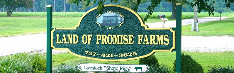 Land of Promise Farms