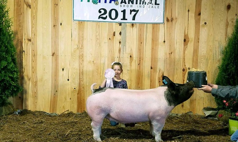 Kallie Poole with the Reserve Champion Division 3 at the 2017 Augusta County, NC Market Animal Show