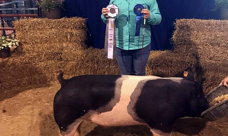 Kelsie Olah with the 3rd Overall at the 2017 Chesapeake, VA 4-H Livestock Show