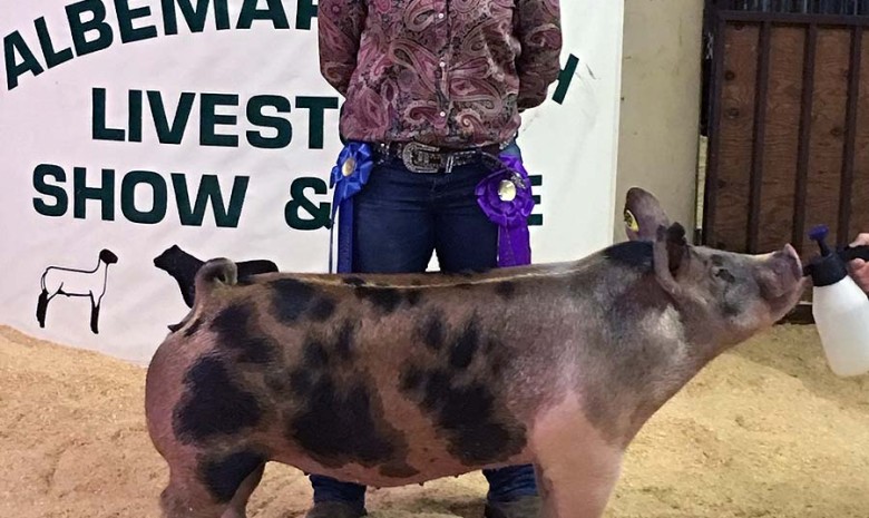 Madison Wooten with the Grand Champion at the 2017 Albermarle County, NC 4-H Livestock Show