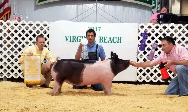 Dawson Cox with the 3rd Overall Hog at the 2017 Virgina Beach, VA Livestock Show