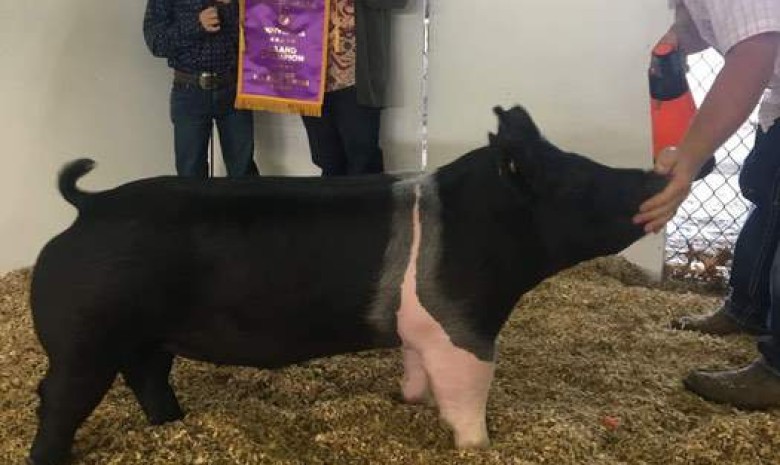 Ashton Seal with the Grand Champion at the 2017 Dixie Classic