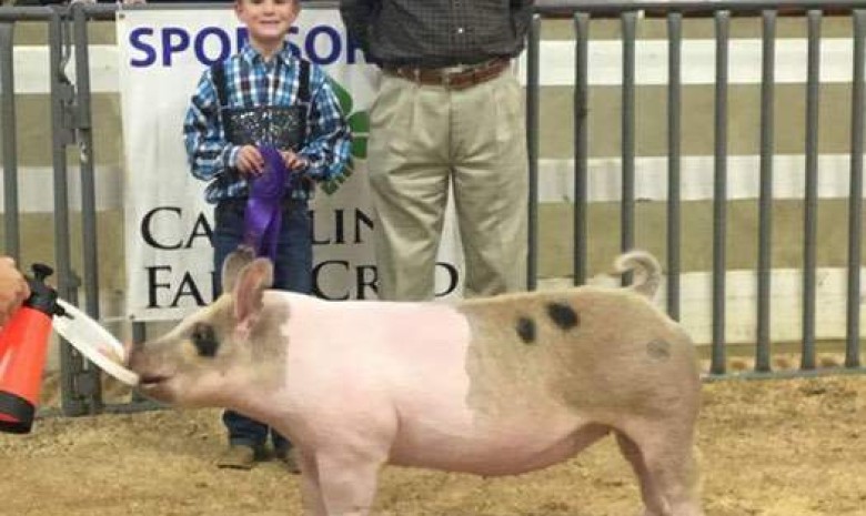 Ashton Seal with the Grand Champion Gilt at the 2017 Mountain State Fair