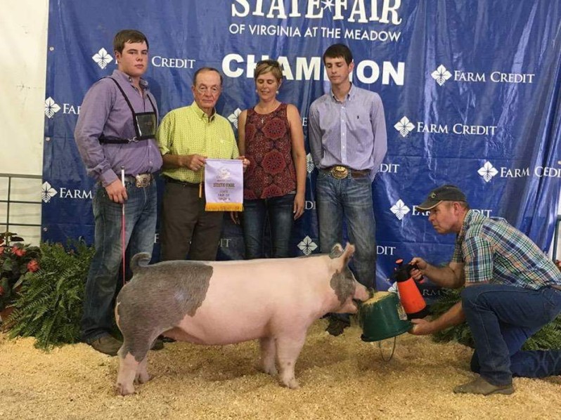 Zach McCall with the Reserve Champion Gilt at the 2017 VA State Fair