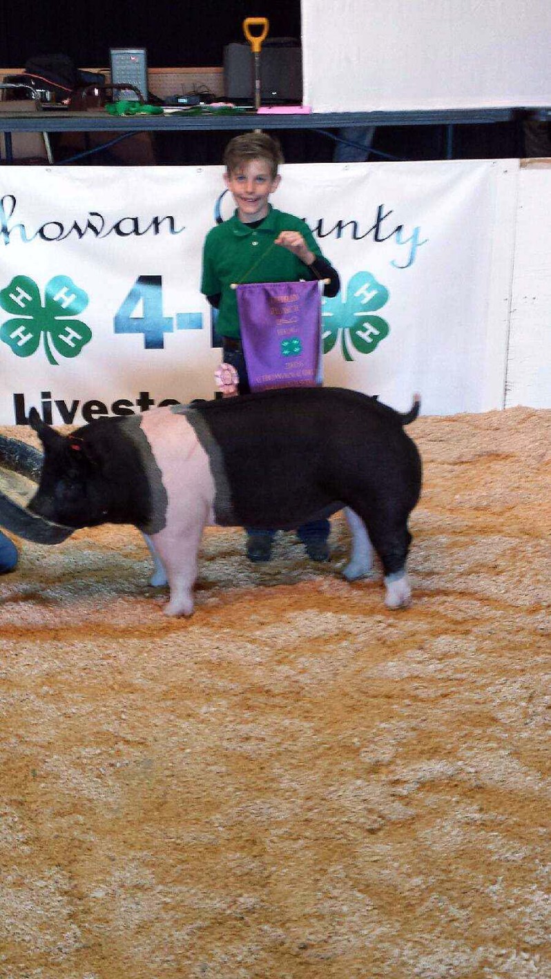 Laine Goodwin with the 3rd Overall at the 2018 Chowan County, NC Livestock Show