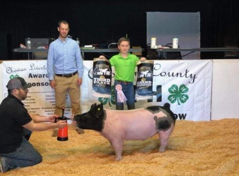 Maddox Bass with the 3rd Overall at the 2019 Chowan, NC Livestock Show