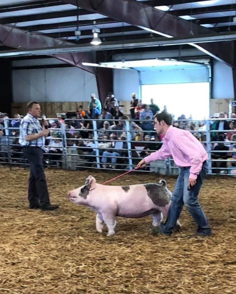 Zach McCall with the Reserve Champion • Division 4 at the 2019 Augusta County Market Animal Show