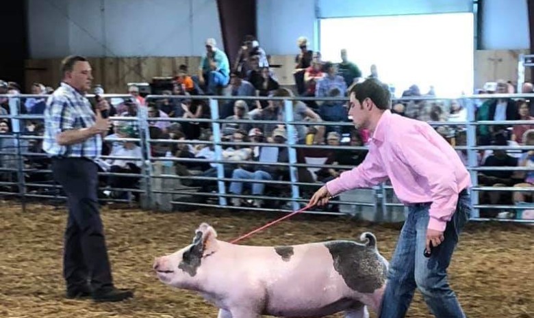 Zach McCall with the Reserve Champion • Division 4 at the 2019 Augusta County Market Animal Show