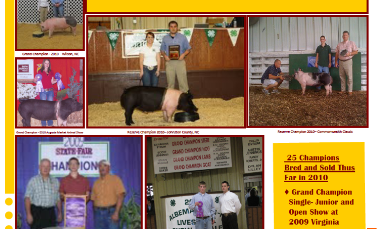 2010 Virginia State Fair Flyer – 1