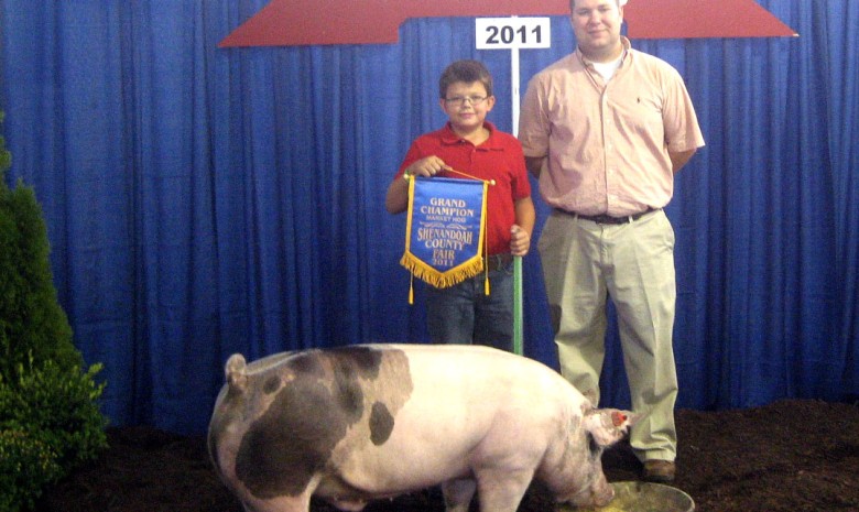 2011 Grand Champion Shenandoah County, VA