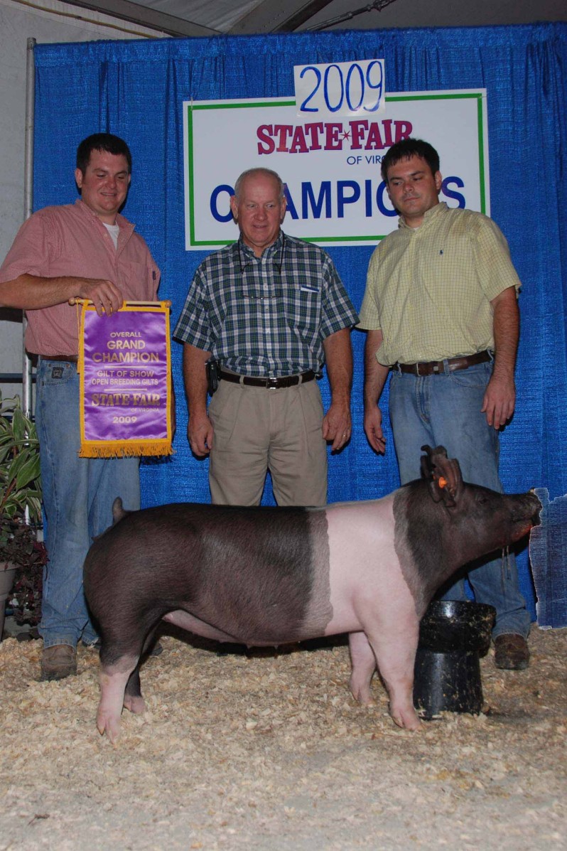 2009 Grand Champion Gilt Virginia State Fair