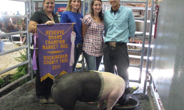 2011 Rockingham County Fair Reserve Grand Champion Market Hog