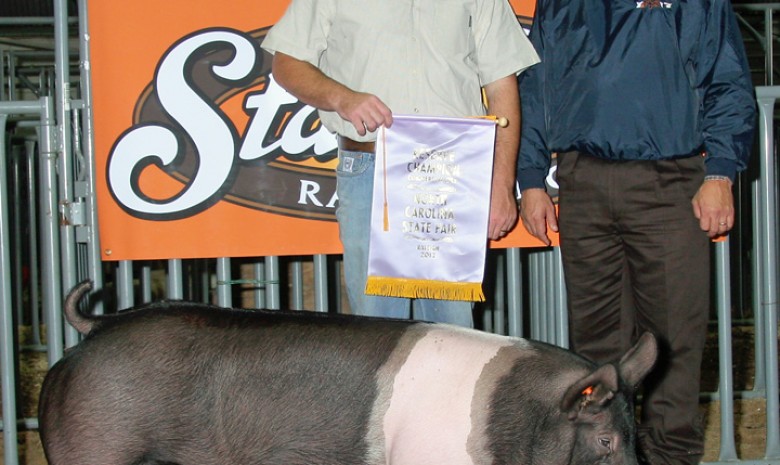 The Reserve Champion Gilt in the Open Show at the 2012 NC State Fair