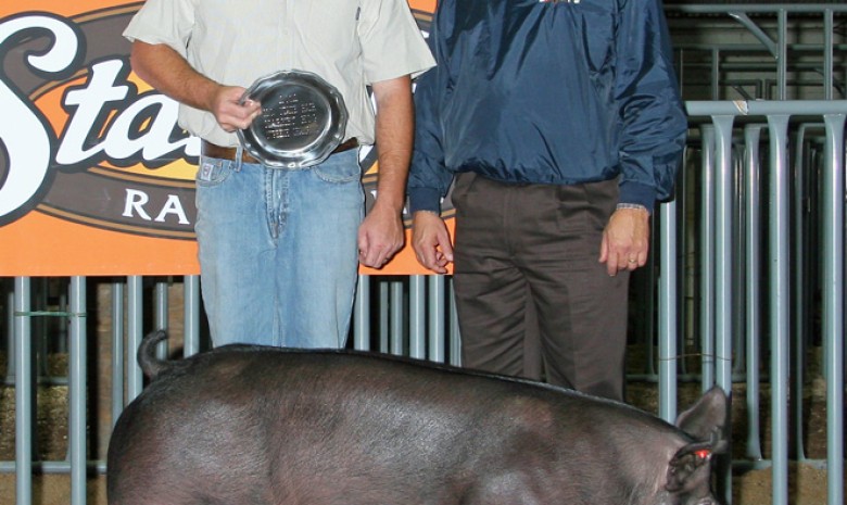 The Grand Champion Barrow in the Open Show at the 2012 NC State Fair