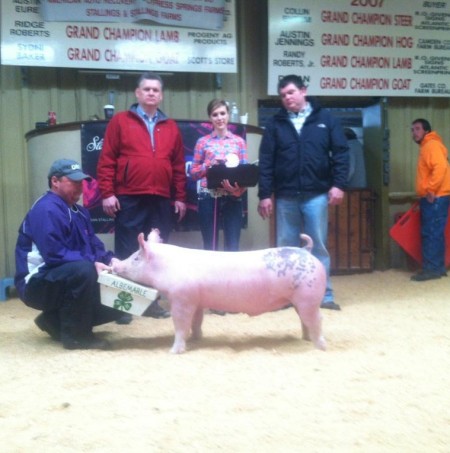 Caitie Goss with the Reserve Champion Middle Weight Pig at the 2013 East Coast Extravaganza
