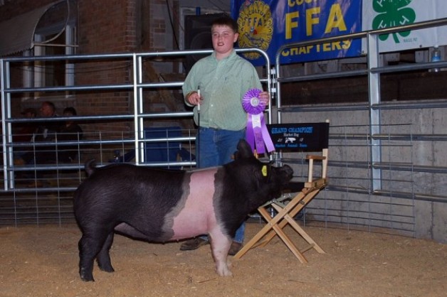 Zach McCall with the Grand Champion at the 2013 Augusta Co., VA Market Animal Show