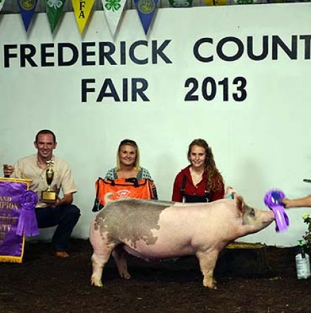 Ashten Sfarnas with the Grand Champion Market Hog at the Frederick County Fair