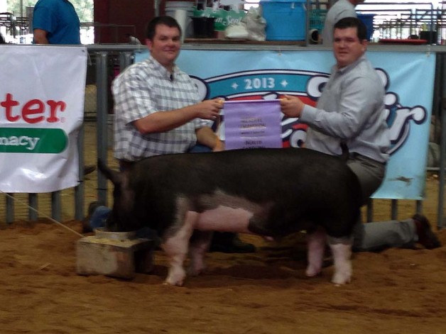 Reserve Champion Barrow and Reserve Champion Overall Market Hog at the 2013 North Carolina State Fair Open Show