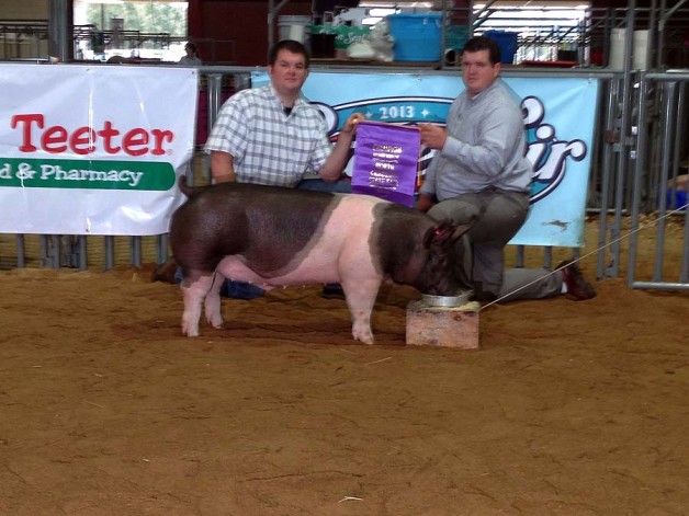 Grand Champion Barrow and Grand Champion Overall Market Hog at the 2013 North Carolina State Fair Open Show