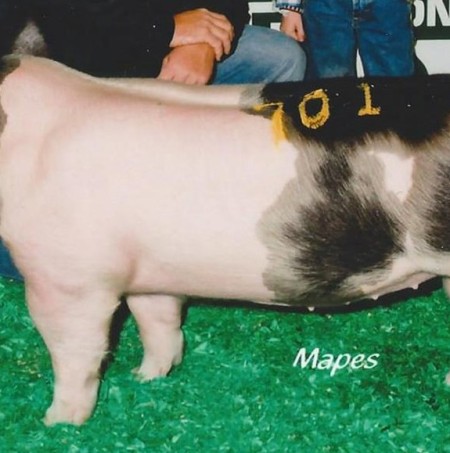 Hunter McMillen with the Sixth in Class Winner at the 2013 North American International Livestock Exposition