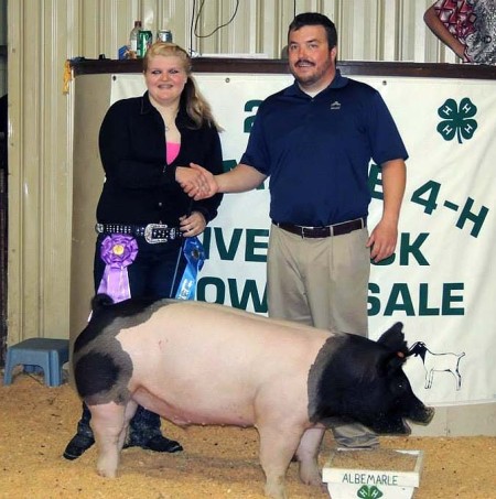 The Grand Champion Market Hog at the 2014 Albemarle 4-H Livestock Show shown by Haley Stevenson and the Harris Family