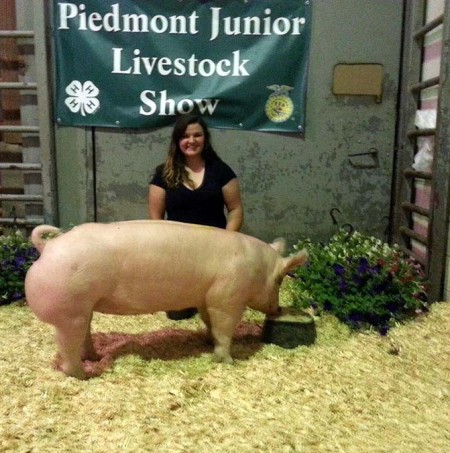 The Grand Champion Market Hog at the 2014 Piedmont Junior Livestock Show shown by Sarah Jane French
