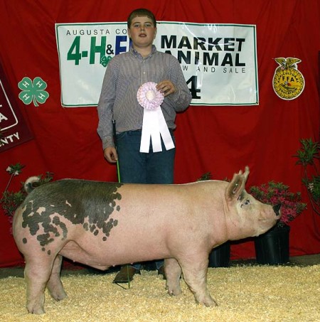 The Reserve Champion (Division 4) at the 2014 Augusta Market Animal Show shown by Zach McCall