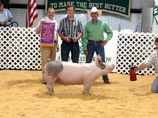 Conner Dickman with the Grand Champion at the 2015 Virginia Beach, VA 4-H Livestock Show