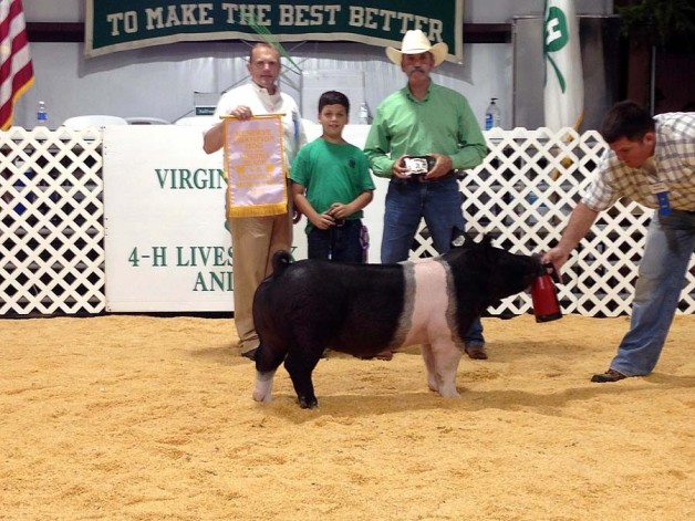 Logan Rollins with the Reserve Champion at the 2015 Virginia Beach, VA 4-H Livestock Show