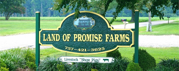 Land of Promise Farms