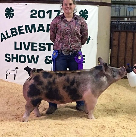 Madison Wooten with the Grand Champion at the 2017 Albermarle County, NC 4-H Livestock Show