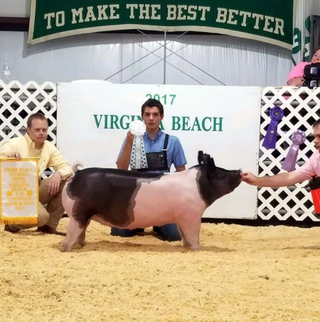 Dawson Cox with the 3rd Overall Hog at the 2017 Virgina Beach, VA Livestock Show