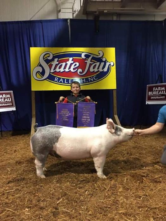Gage Harris with the Supreme Champion Gilt at the 2017 NC State Fair