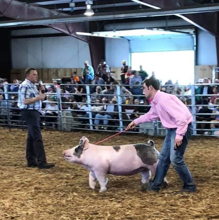 Zach McCall with the Reserve Champion • Division 4 at the 2019 Augusta County Market Animal Show